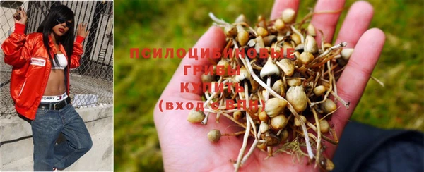прущая мука Абдулино